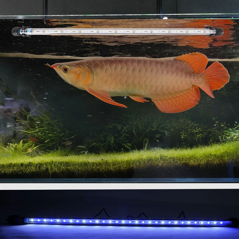 Submersible Aquarium LED Lighting suppliers